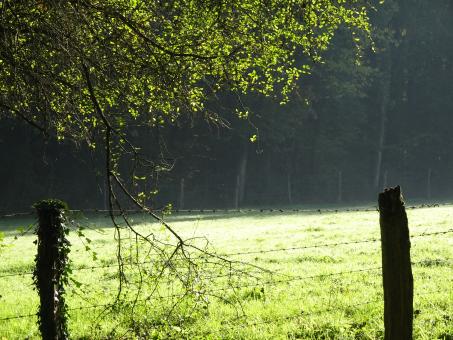 Free Stock Photo of Early morning bright light