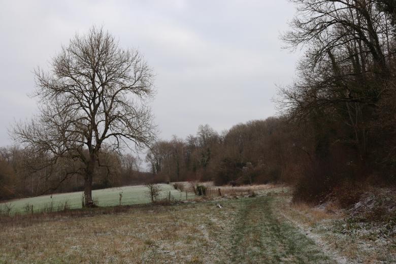 Free stock image of Winter landscape in a cold morning created by GAIMARD Jacques