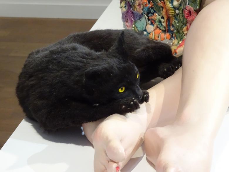 Free stock image of Hummmm! Such a warm foot! created by GAIMARD Jacques