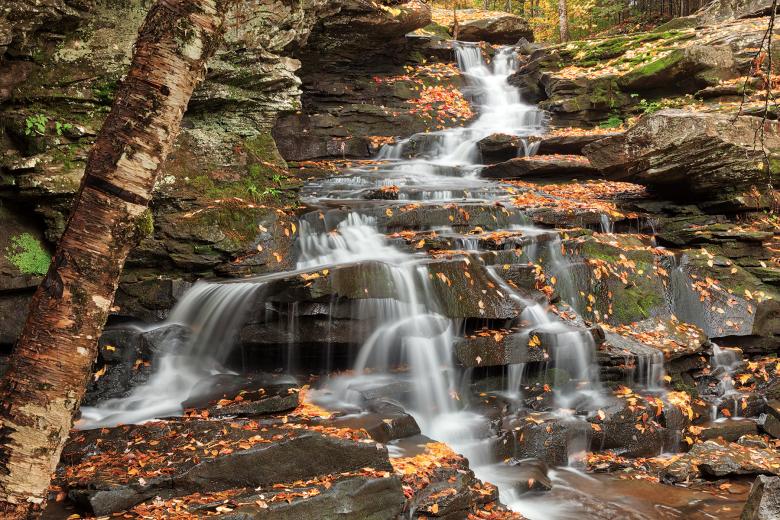 Free stock image of Autumn Garden Creek Falls created by Nicolas Raymond