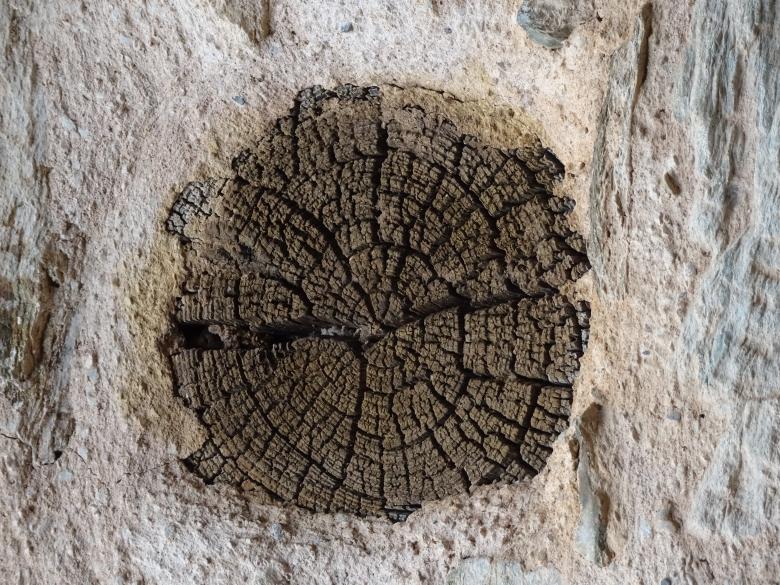 Free stock image of Old wood beam in a wall created by GAIMARD Jacques