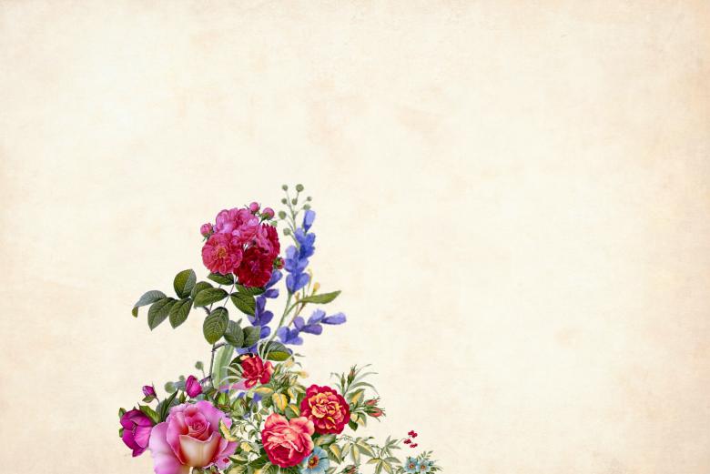 Free stock image of Vintage Color Flower Background created by mohamed hassan