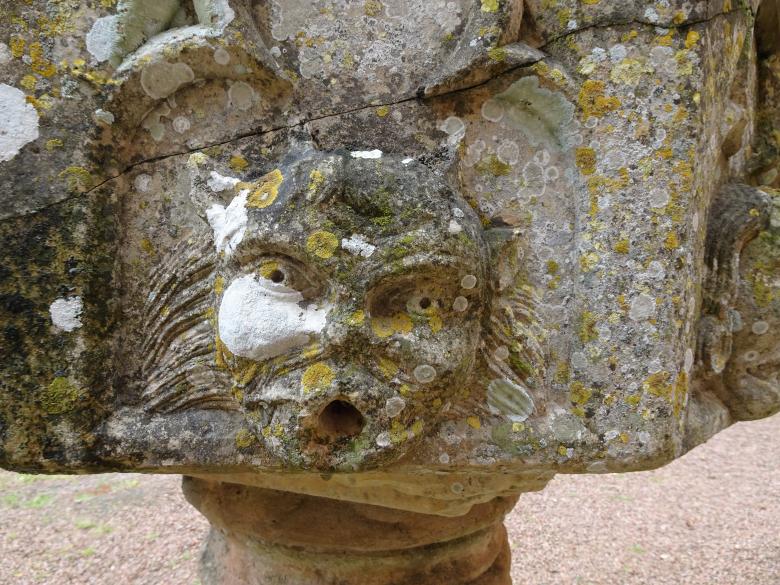 Free stock image of Lichens make that sculpture even more dramatic! created by GAIMARD Jacques
