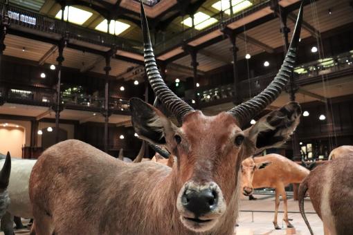 Free Stock Photo of Hey... He's got a Canon 800D with a 10-18 mm wide angle lens