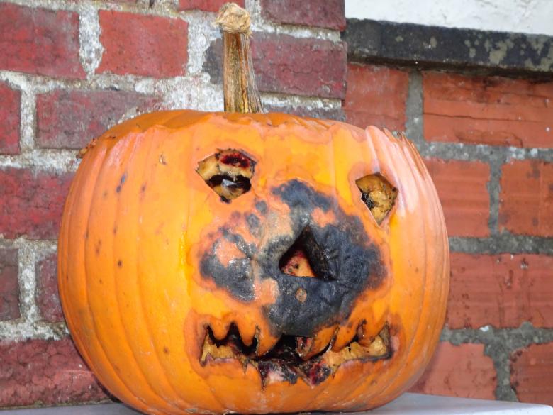 Free stock image of I'm afraid I'll be rotten for 2019 Halloween... created by GAIMARD Jacques