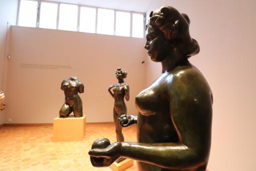 view of different statues in a museum's room - Free Stock Photo