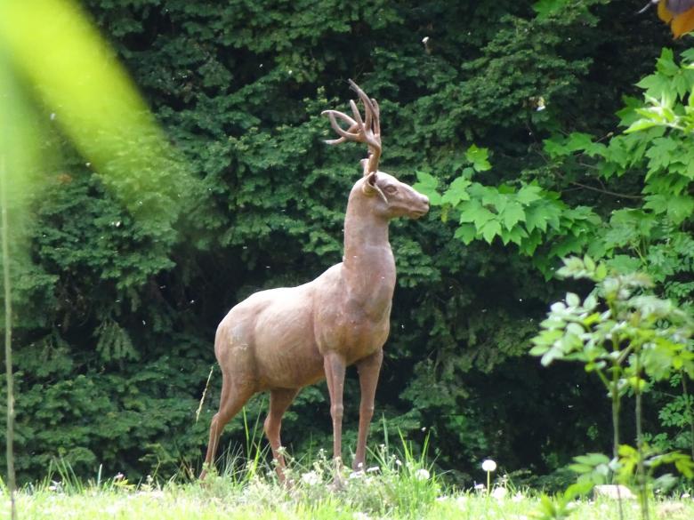 Free stock image of I'm an alien deer... May the Force be with you!! created by GAIMARD Jacques