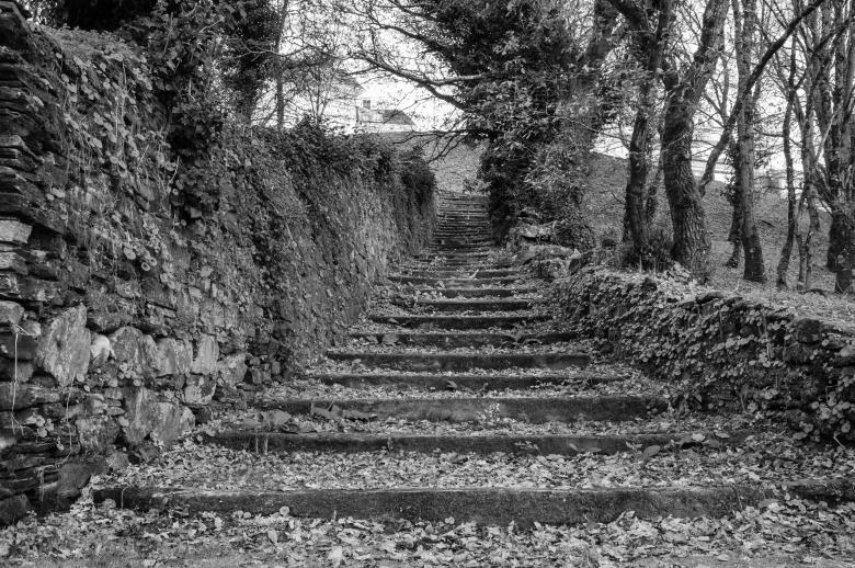 Free stock image of Nature Stairs created by PaSoNeCa