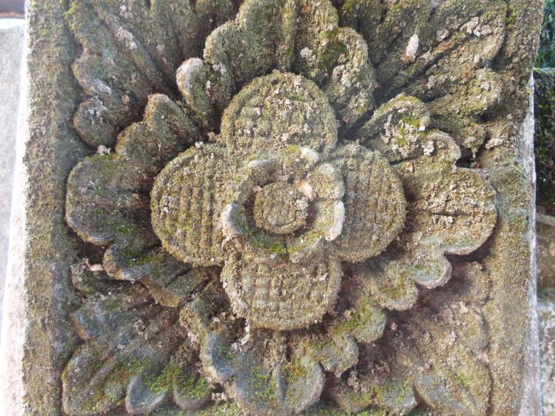 Free stock image of Stone Flower Engraving created by Chekokiart