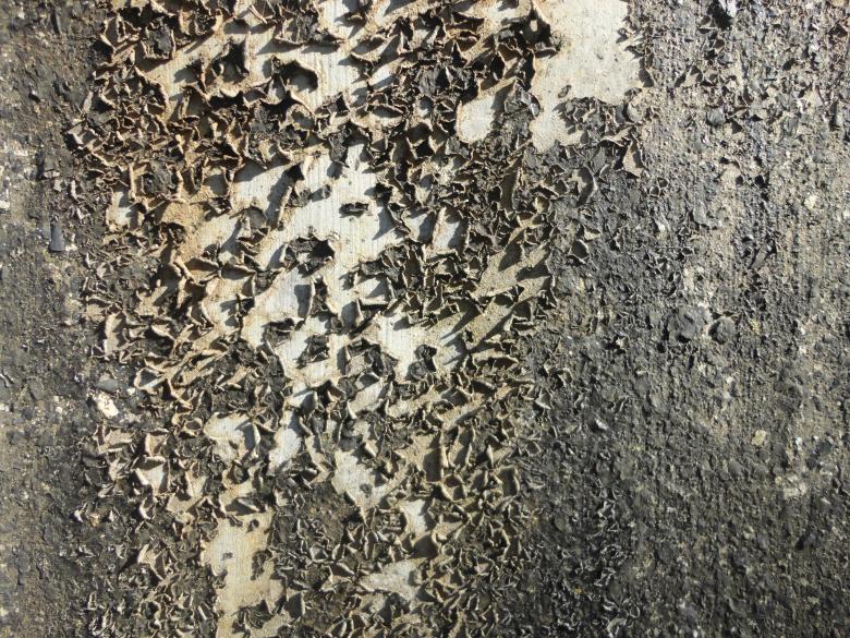 Free stock image of Grunge Peeling Wall Texture created by Chekokiart
