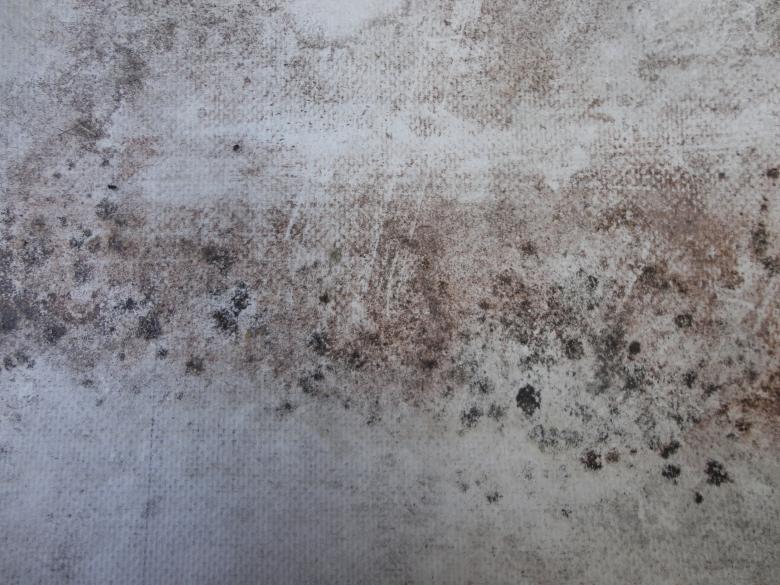 Free stock image of Grunge Wall Texture created by Chekokiart