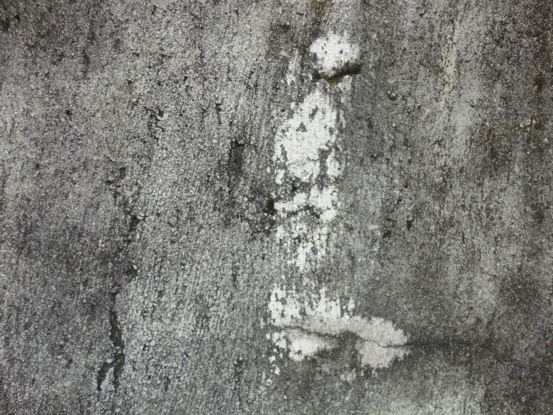 Free stock image of Grunge wall texture background created by Chekokiart