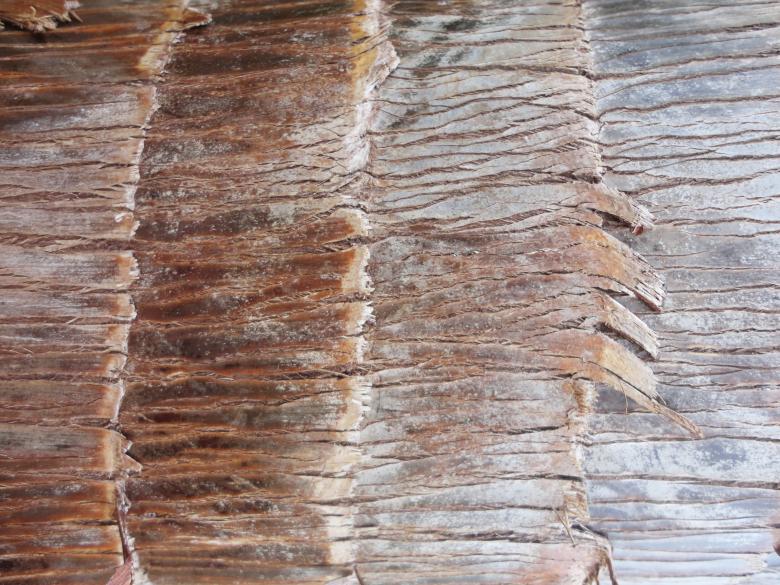 Free stock image of Wooden texture background created by Chekokiart