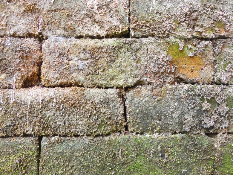 Free stock image of Old brick wall texture background created by Chekokiart