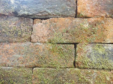 Free Stock Photo of Brick wall texture background