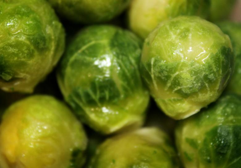 Free stock image of Head of Cabbage created by NomeVizualizzato
