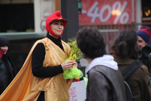 Mimosa! Who wants my mimosa? It's the season... - Free Stock Photo