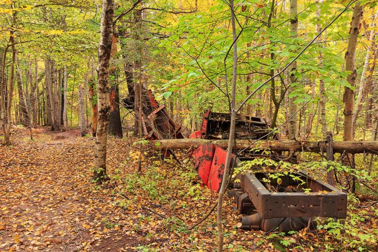 Free stock image of Car Wreck Forest Trail created by Nicolas Raymond