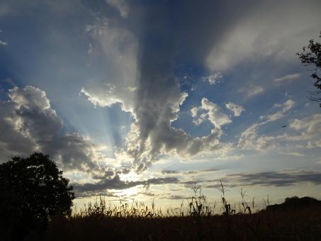 Free Stock Photo of Gorgeous light effects during sunrise