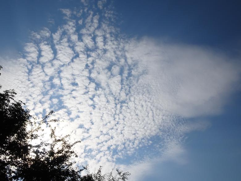 Free stock image of Fleecy clouds floating by... created by GAIMARD Jacques