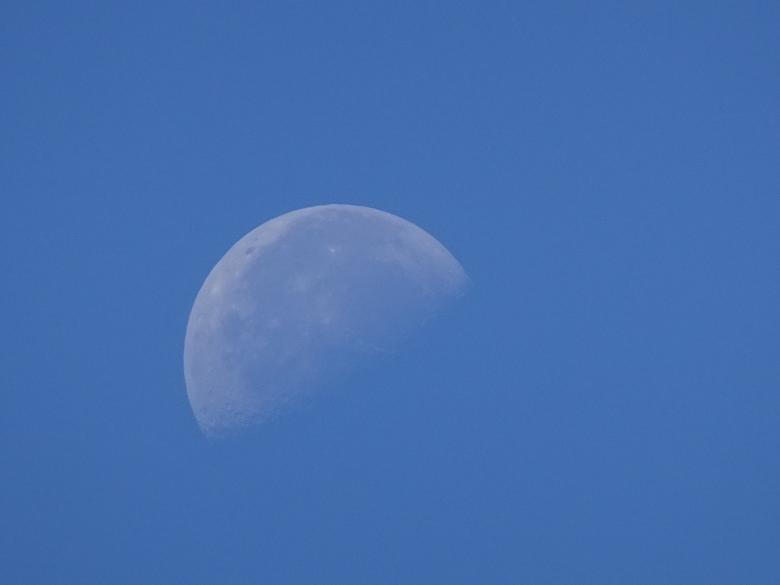 Free stock image of Despite the daylight the moon is still visible! created by GAIMARD Jacques