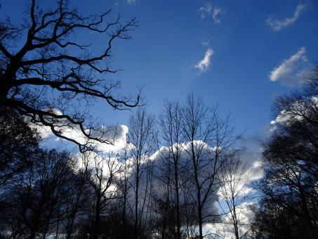 Hidden sun in winter - Free Stock Photo