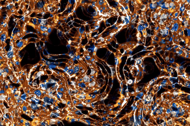 Free stock image of Vintage Plasma Cells created by Nicolas Raymond