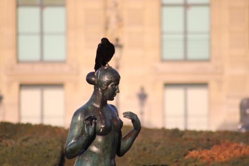 Free Stock Photo of Away from me, bird of ill omen!!