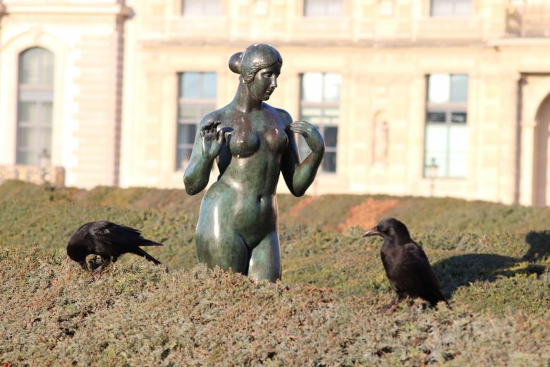 Free stock image of The Lady and the bird created by GAIMARD Jacques