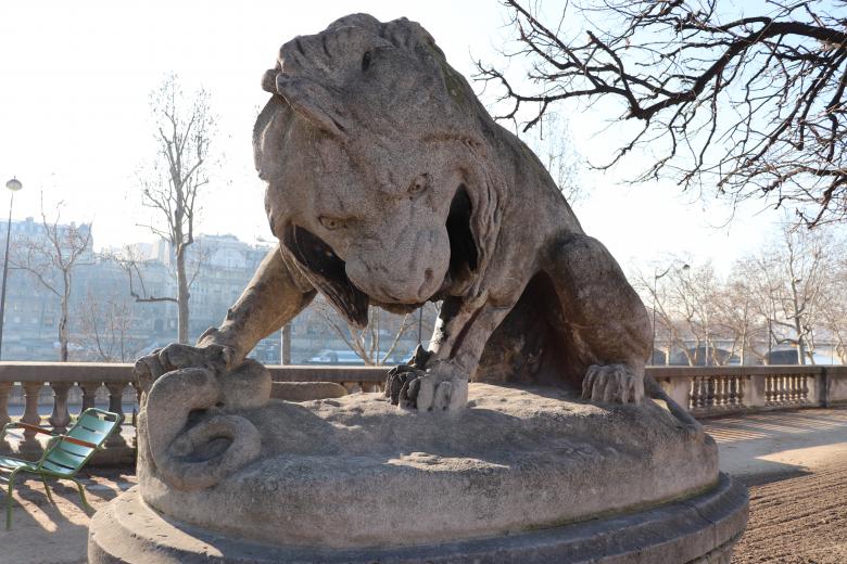Free stock image of Nasty lion... Don't get too close! created by GAIMARD Jacques