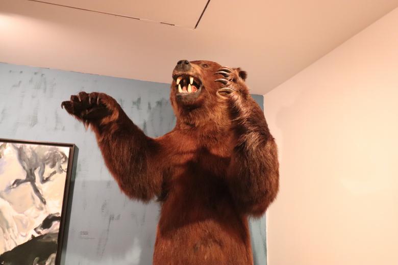 Free stock image of it's just un-bear-able! created by GAIMARD Jacques