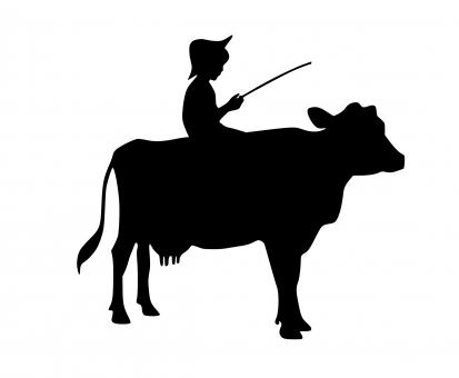 Free Stock Photo of Boy Riding Cow Silhouette