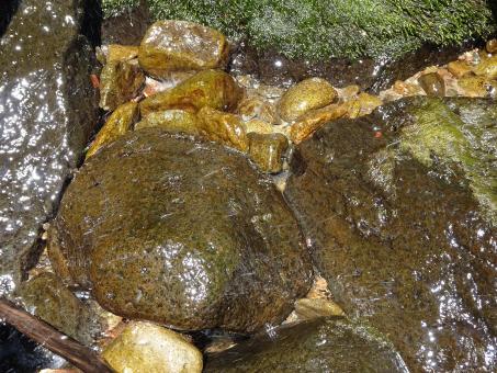 Free Stock Photo of Water make the stones and rock look great!