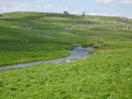 Free Stock Photo of The little stream in the prairie!