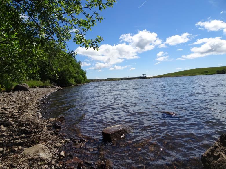 Free stock image of Lake with "black" water created by GAIMARD Jacques