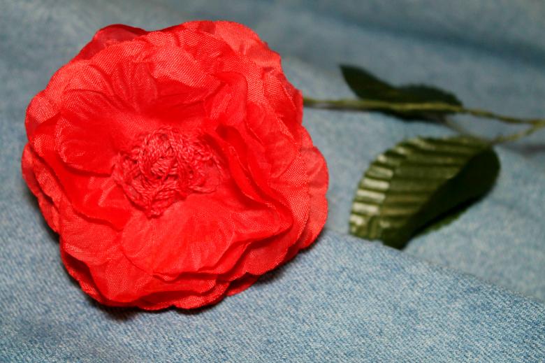 Free stock image of Handmade flower created by NomeVizualizzato