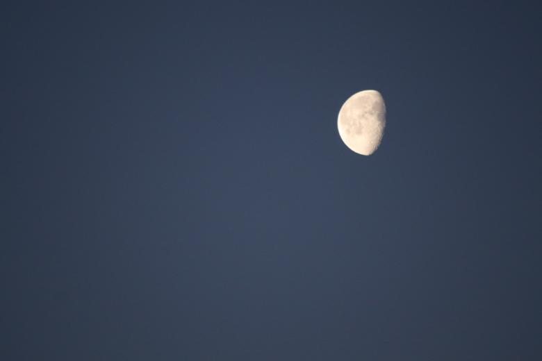 Free stock image of Lonely moon... created by GAIMARD Jacques