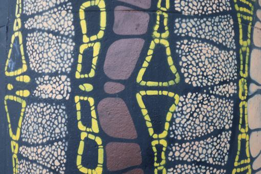 Free Stock Photo of Abstract graffiti