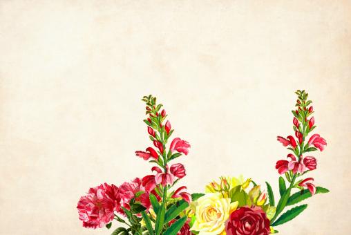 Free Stock Photo of Colorful Vintage Flower Background