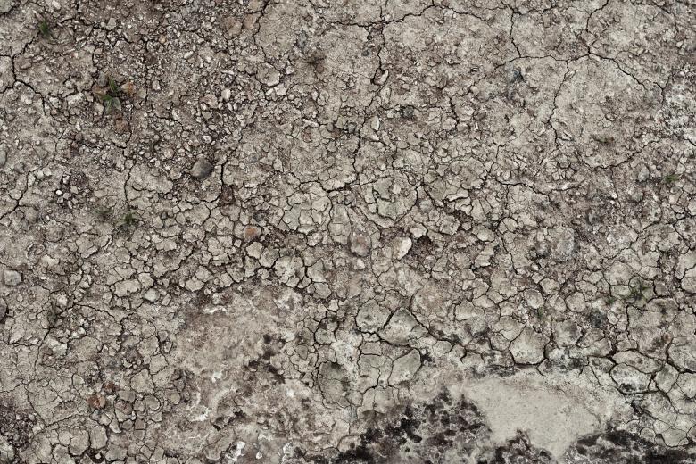 Free stock image of Cracked Muddy Surface created by Bjorgvin