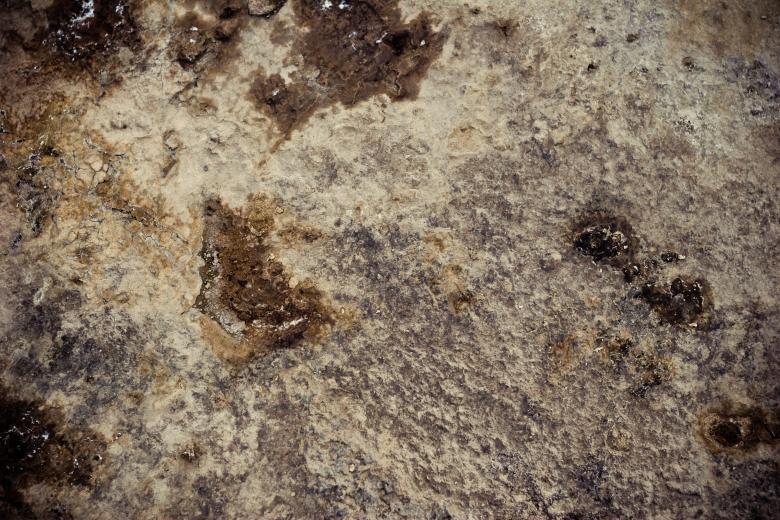 Free stock image of Grunge Mud created by Bjorgvin