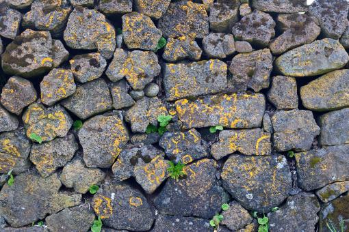 Free Stock Photo of Natural Stone Wall