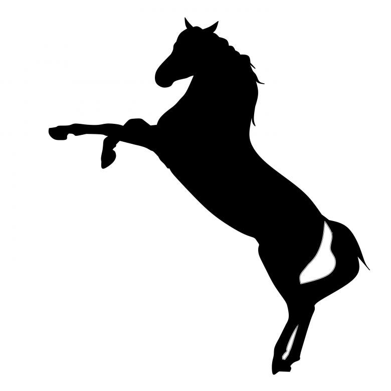 Free stock image of Horse Silhouette created by mohamed hassan