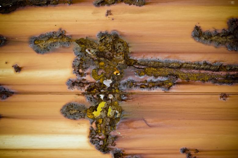 Free stock image of Rusted Metal Background created by Bjorgvin