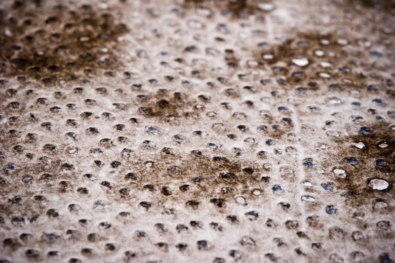 Free stock image of Fish Skin Background created by Bjorgvin