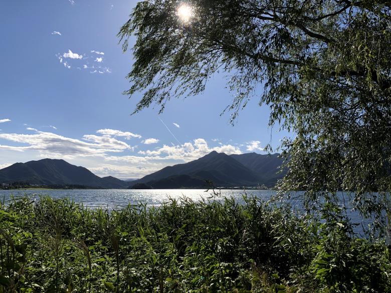 Free stock image of Tree and Sunny Landscape created by Hungyi, Wu