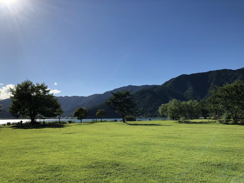 Free stock image of Grass Field and Trees created by Hungyi, Wu