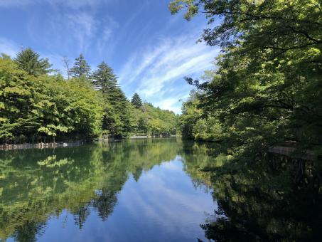 Lake Reflections - Free Stock Photo