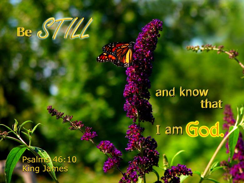 Free stock image of Be Still created by DFNatureAwed