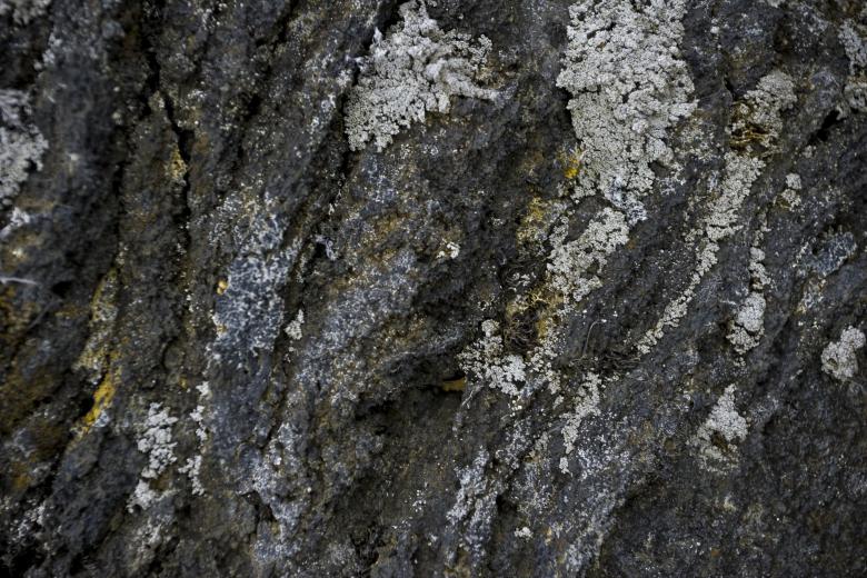 Free stock image of Old Icelandic Lava Rock created by Bjorgvin